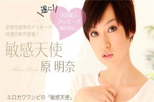 【無修正】CE-00339
