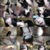 【無修正】CL-00072《FC2》44分 - 画像 (2)