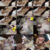 【無修正】CL-00441《FC2》47分 - 画像 (2)